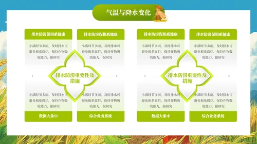 小满节气插画风教育通用模板PPT模板