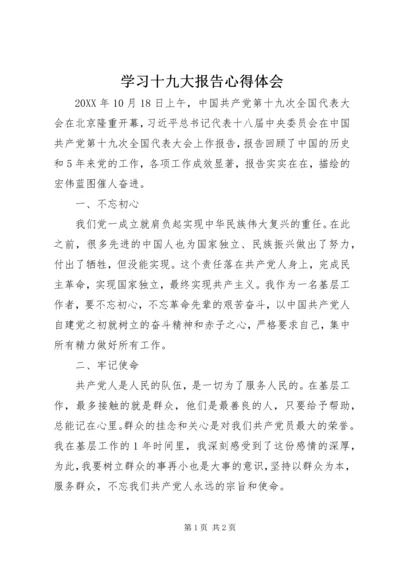 学习十九大报告心得体会 (23).docx