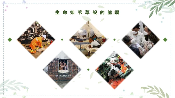 高中语文人是一根能思想的苇草PPT课件