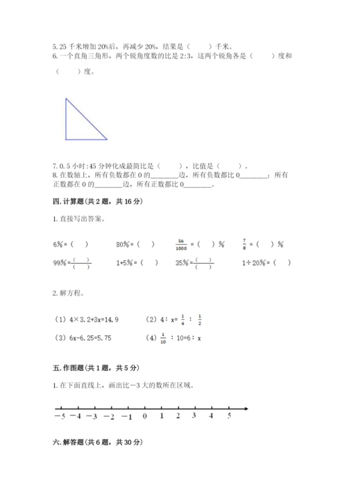 北京版六年级下册期末真题卷（实用）.docx