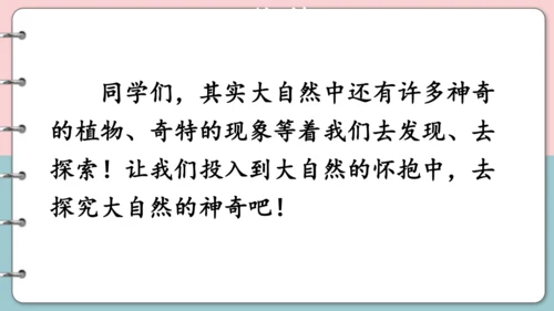 第16课《金色的草地》（第二课时）课件