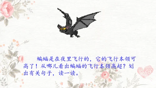 6夜间飞行的秘密  课件