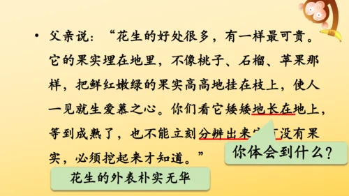 2 落花生    课件