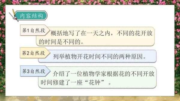 【核心素养】部编版语文三年级下册-13. 花钟 第2课时（课件）