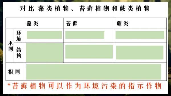 3.1.1 藻类、苔藓和蕨类植物 课件 人教版生物七年级上册(共27张PPT)