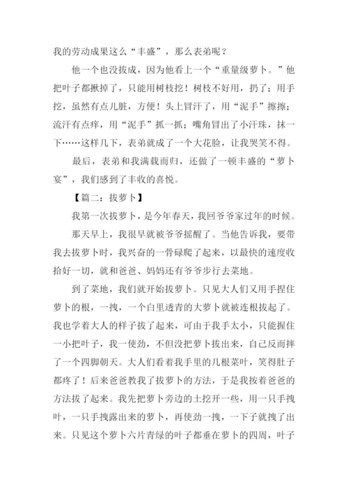 拔萝卜作文0.docx
