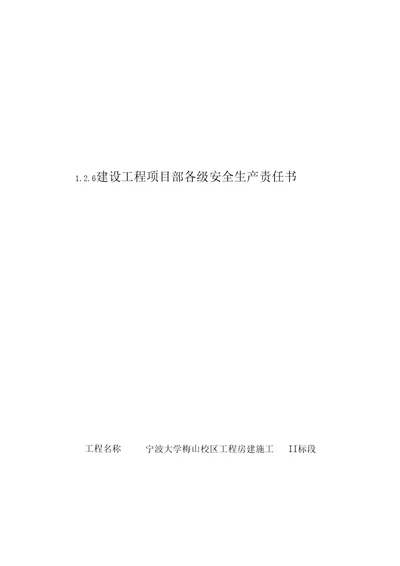 建设工程项目部各级安全生产责任书doc37页