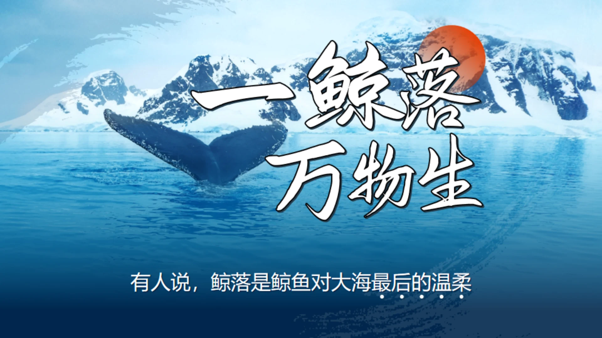 鲸落万物生鲸鱼知识讲座通用PPT模板