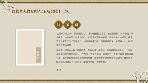 褐色复古中国风中国四大名著之红楼梦人物介绍PPT