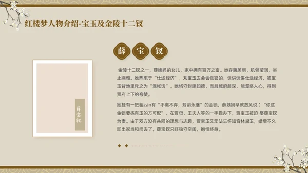 褐色复古中国风中国四大名著之红楼梦人物介绍PPT