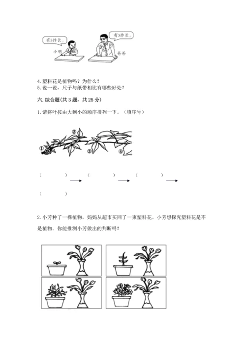 教科版一年级上册科学期末测试卷新版.docx