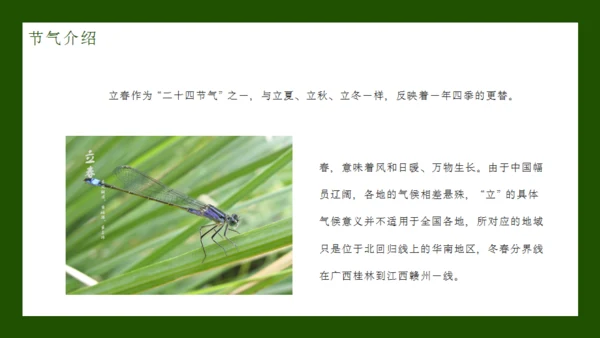 立春节气通用PPT模板