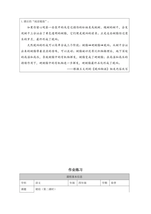 5 琥珀第2课时 教案
