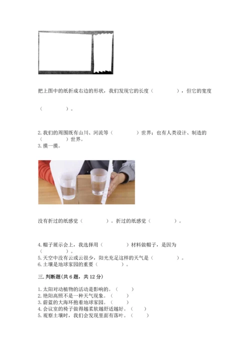 教科版二年级上册科学期末测试卷精品【典优】.docx