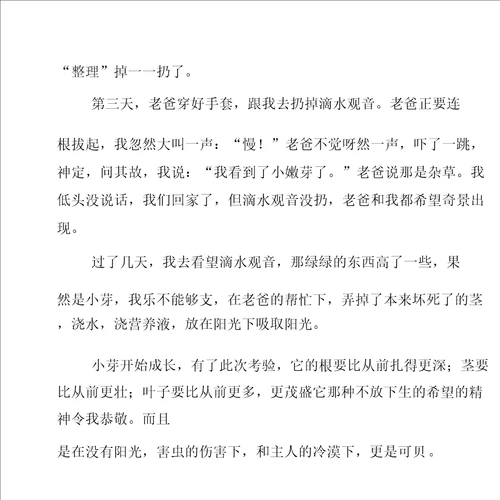 先抑后扬作文15篇