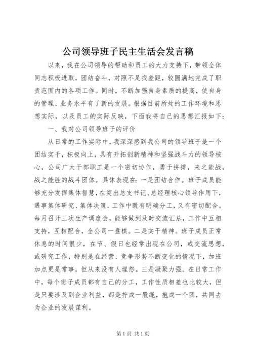 公司领导班子民主生活会发言稿.docx