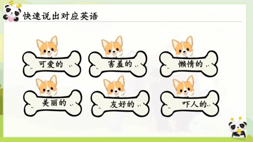 Unit 5 Why do you like pandas? 单元复习课件（人教新目标七年级下册）