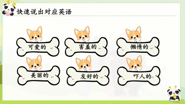 Unit 5 Why do you like pandas? 单元复习课件（人教新目标七年级下册）