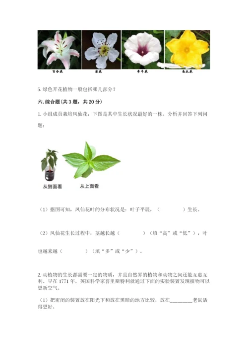 教科版科学四年级下册第一单元《植物的生长变化》测试卷及一套答案.docx