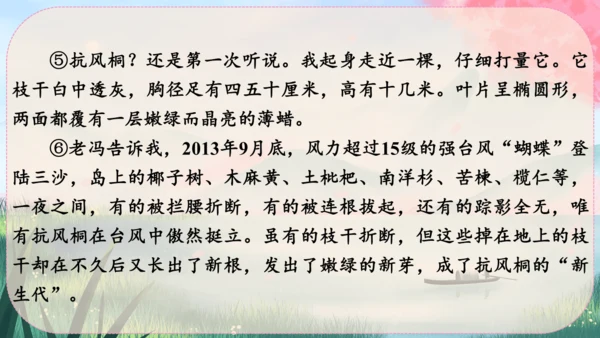 15《白杨礼赞》课件