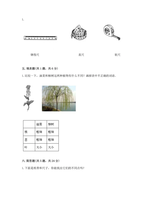 教科版科学一年级上册期末测试卷（能力提升）word版.docx