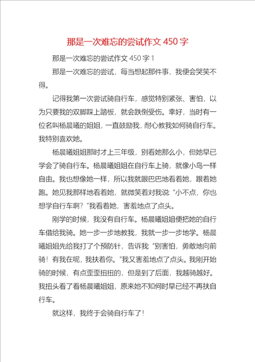 那是一次难忘的尝试作文450字