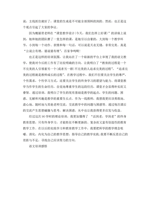 语文90学时培训心得体会3篇.docx