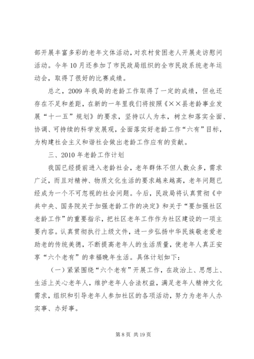 民政局老龄工作计划.docx
