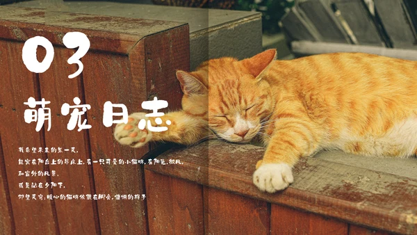 简约宠物萌宠画册电子相册通用PPT模板