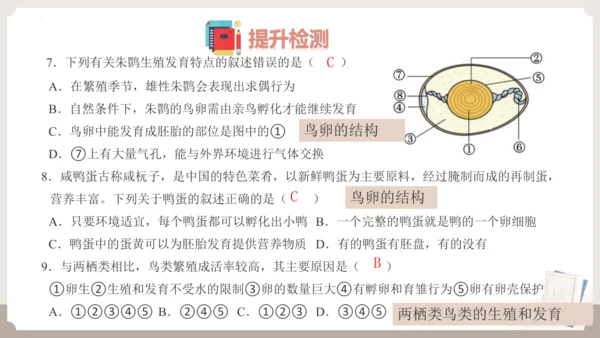 复习专题五生物的生殖和发育（串讲课件）-八年级生物上学期期末考点大串讲（人教版）(共20张PPT)