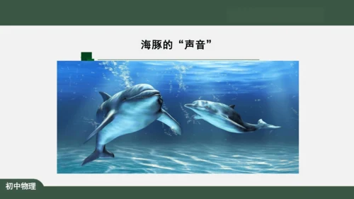 2.3 声的利用 课件（共32张PPT）
