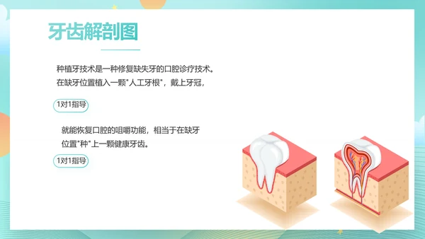蓝色大气关爱牙齿健康工作总结PPT