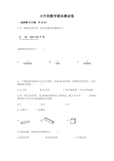 小升初数学期末测试卷（典优）.docx