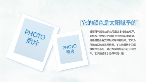 五四青年节激扬青春无奋斗不青春PPT动态模板