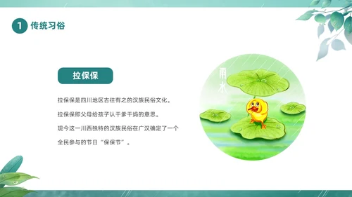 绿色春天中国二十四节气之雨水节气介绍PPT