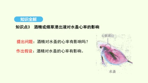 8.3.2选择健康的生活方式课件-人教版生物八年级下册(共20张PPT)