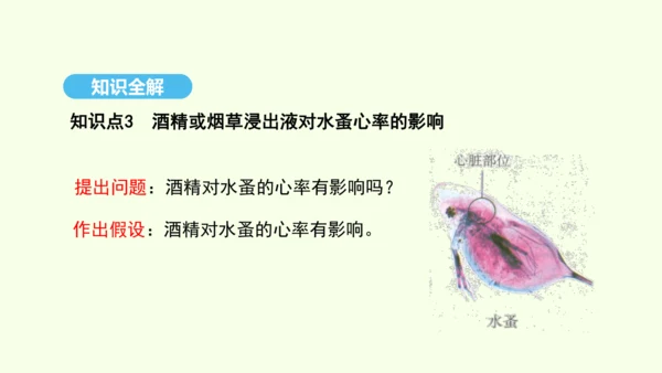 8.3.2选择健康的生活方式课件-人教版生物八年级下册(共20张PPT)