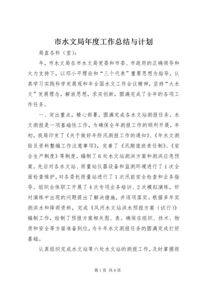 市水文局年度工作总结与计划.docx