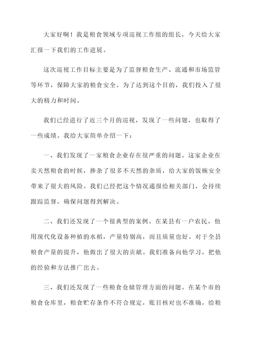 粮食领域专项巡视工作汇报