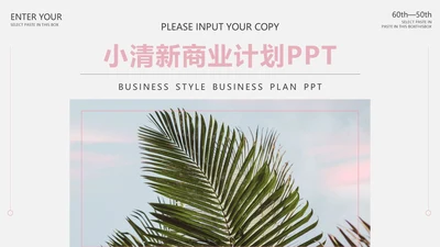 粉色椰风商业计划PPT模板