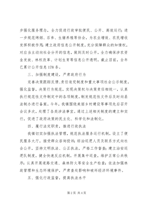 乡镇年度依法行政工作总结_1.docx