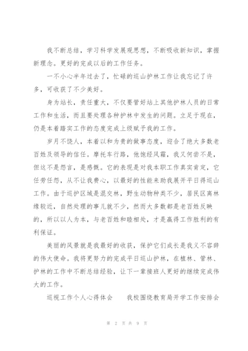 巡视工作个人心得体会.docx