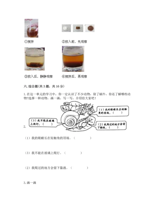 教科版一年级下册科学期末测试卷及参考答案【预热题】.docx