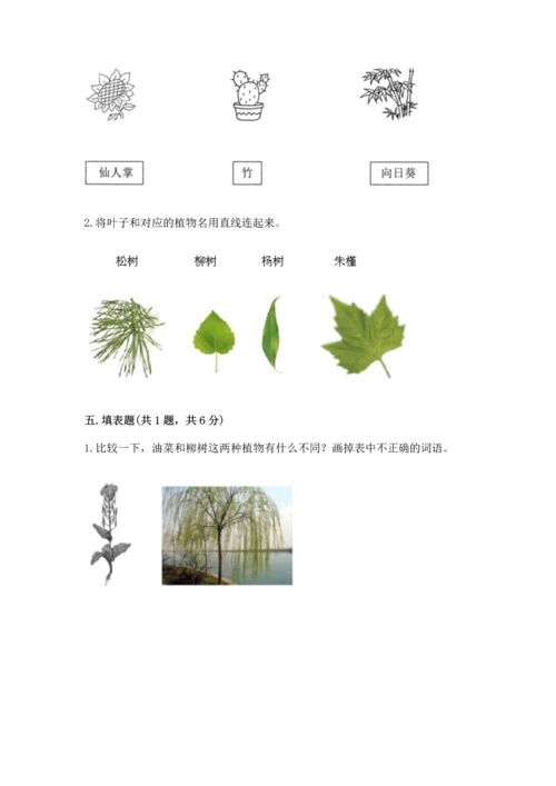 教科版科学一年级上册第一单元《植物》测试卷带答案（突破训练）.docx