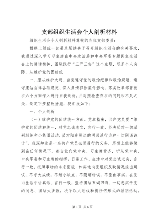 支部组织生活会个人剖析材料 (2).docx