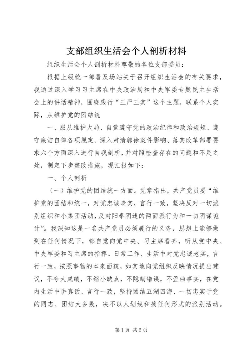 支部组织生活会个人剖析材料 (2).docx