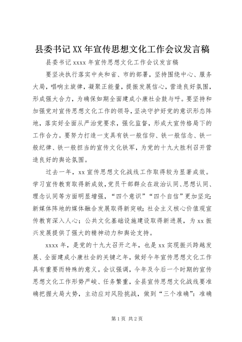 县委书记XX年宣传思想文化工作会议发言稿.docx