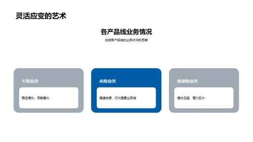 20XX年度业绩与策略解析