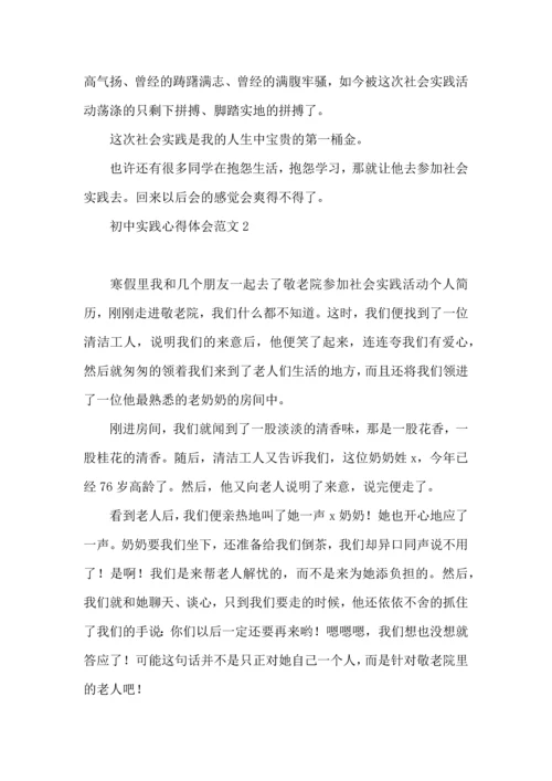 初中实践心得体会范文.docx