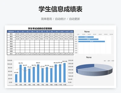 学生信息成绩表